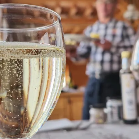 Aplis Szálloda Ovaro