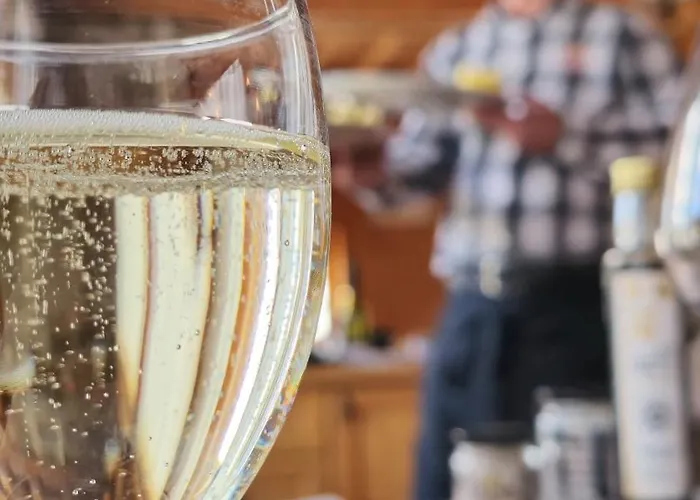 Aplis Szálloda Ovaro